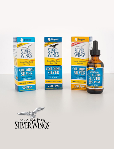 Silver Wings
